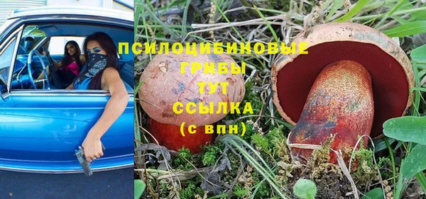 MDMA Алексеевка
