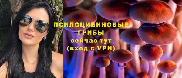 дурь Алзамай